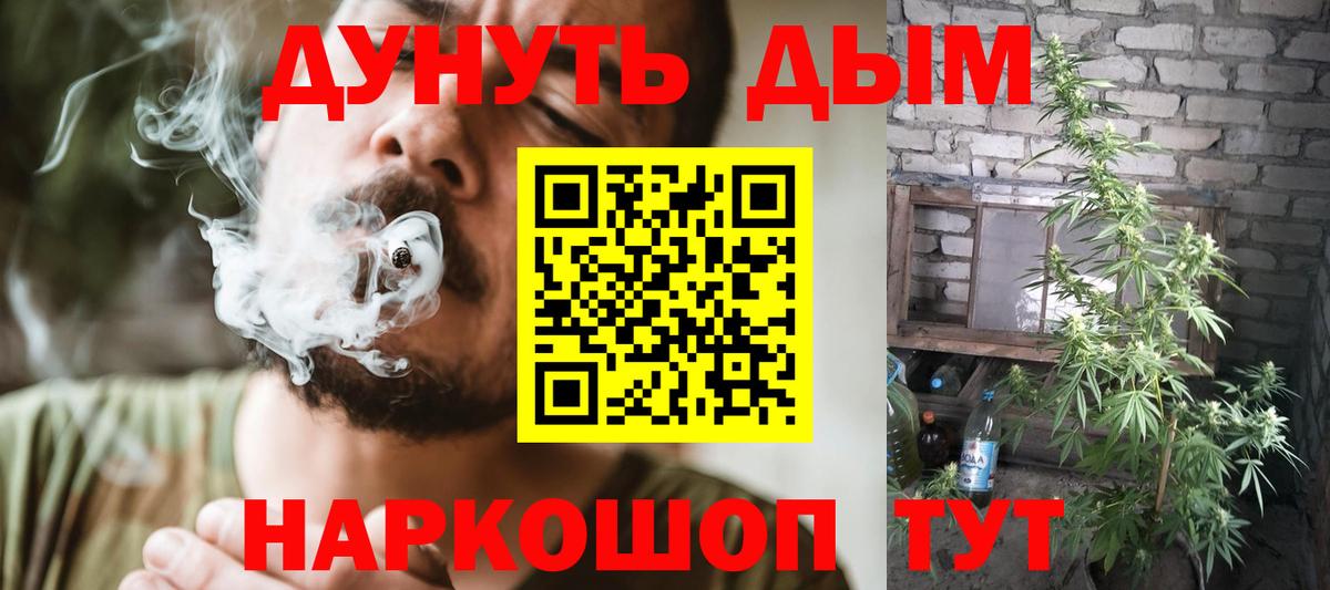 МАРИХУАНА ГИДРОПОН Тамбов